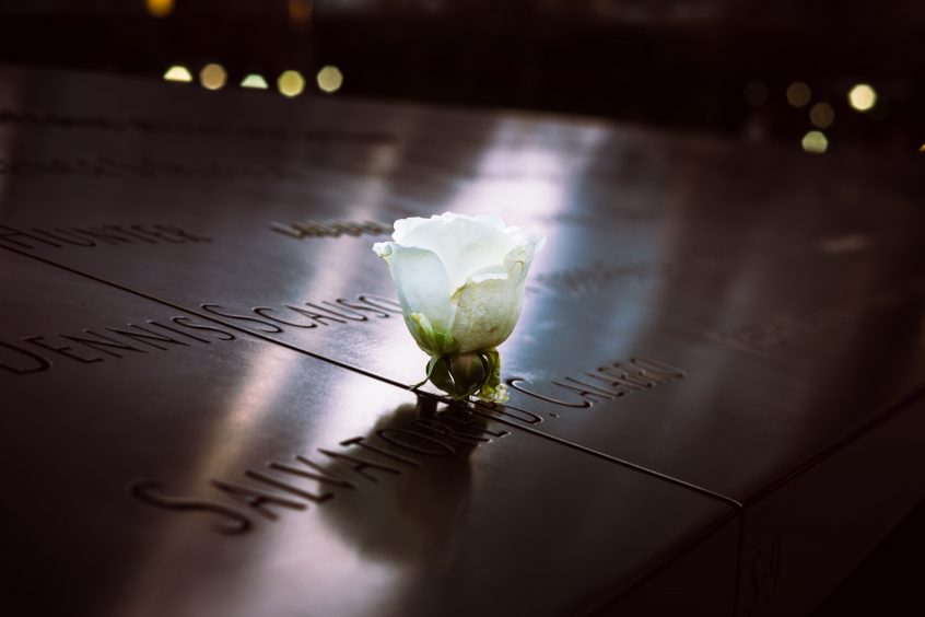 A rose at the September 11, 2001 memorial